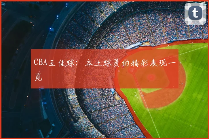 CBA五佳球：本土球员的精彩表现一览